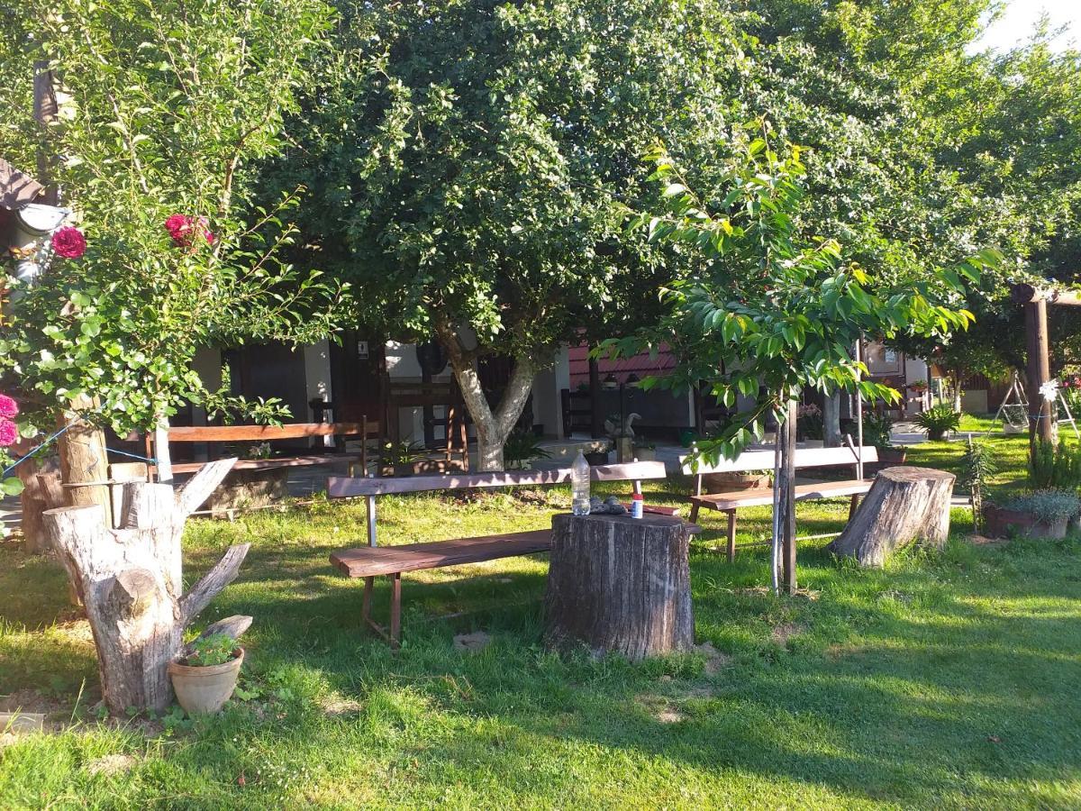 Camping Lukac Kutina Eksteriør billede