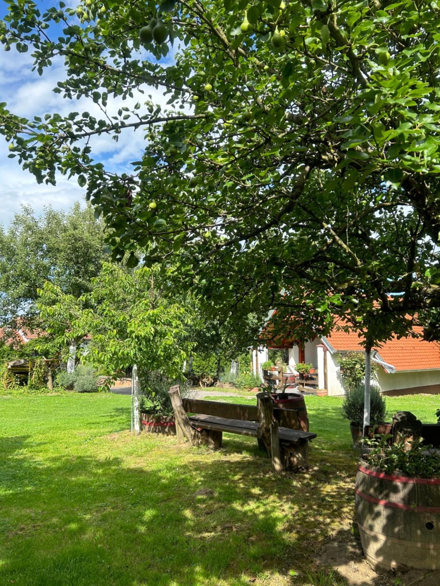 Camping Lukac Kutina Eksteriør billede
